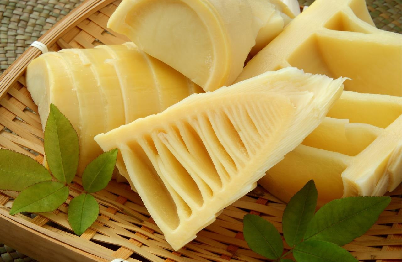 Brotos de Bambu: Variações, Usos e Receita Tradicional