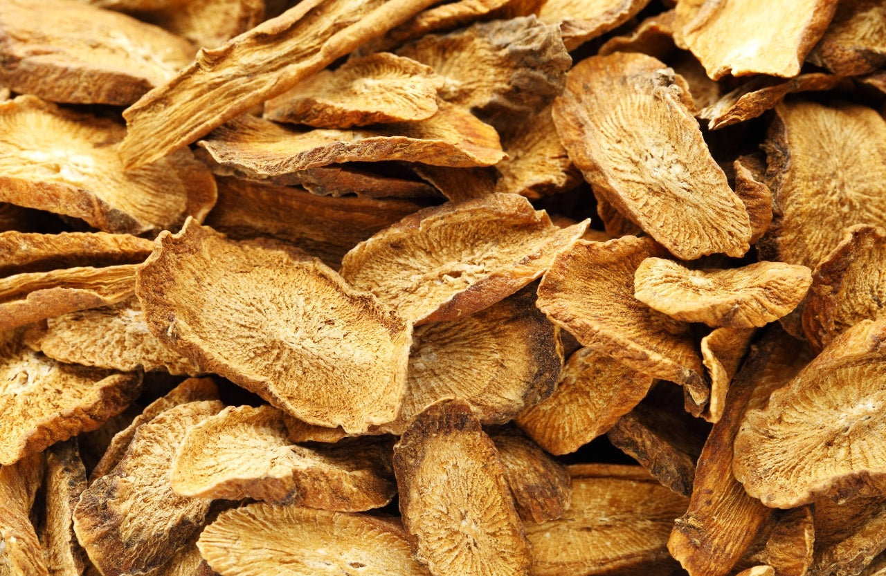 Descubra os benefícios da raiz de bardana para saúde e bem-estar