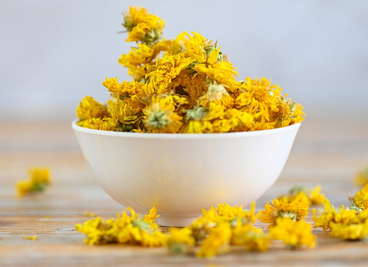 Crisântemo: A flor milenar que vai além da beleza!