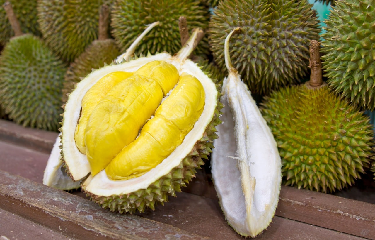 Durião: A exótica fruta Asiática que você precisa conhecer
