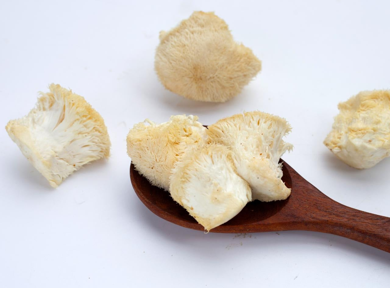 Cogumelo Juba de Leão: O segredo natural para memória, imunidade e muito mais!