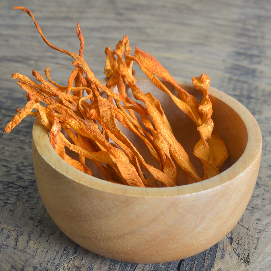 O Poderoso Cordyceps: Seu guia completo!