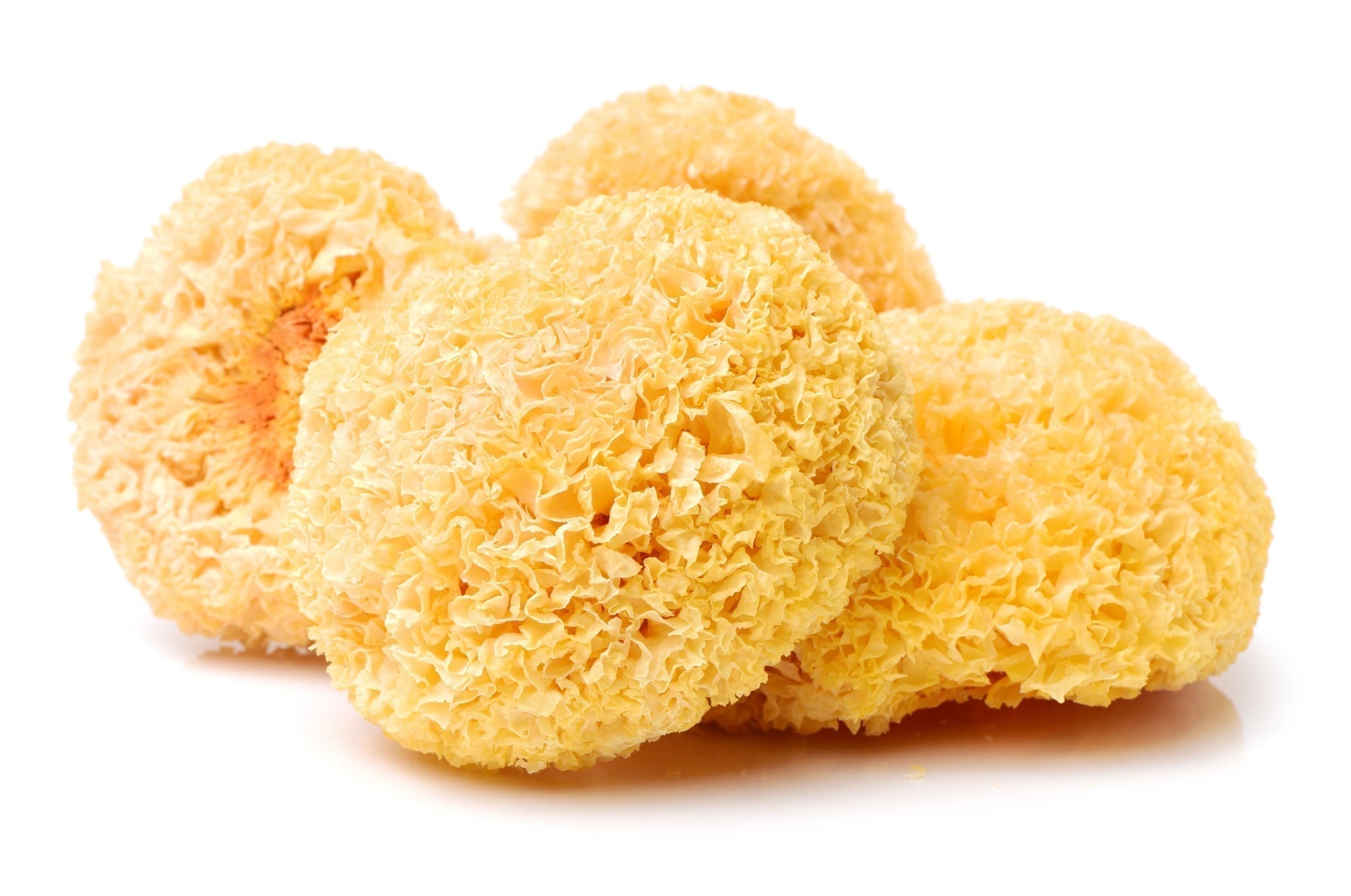 Cogumelo Tremella: O segredo Asiático para beleza e saúde