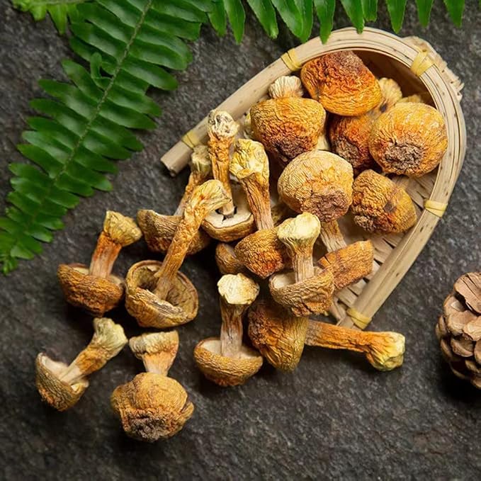 Cogumelo do Sol (Agaricus Blazei) - Natural Taste 120g