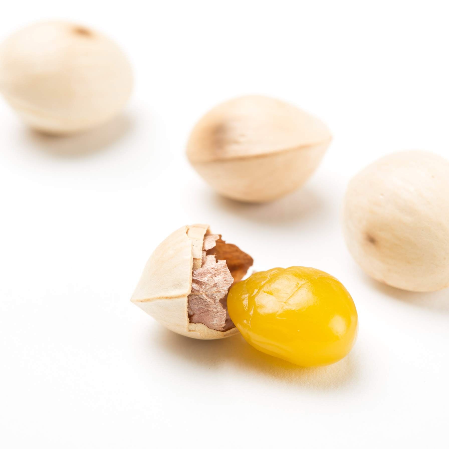 Sementes de Ginkgo - JiYuan 250g