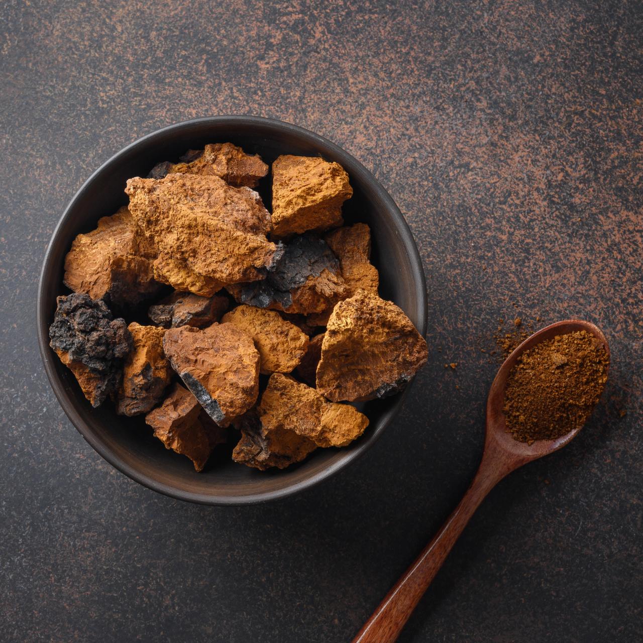 Cogumelo Chaga (Inonotus Obliquus) 250g