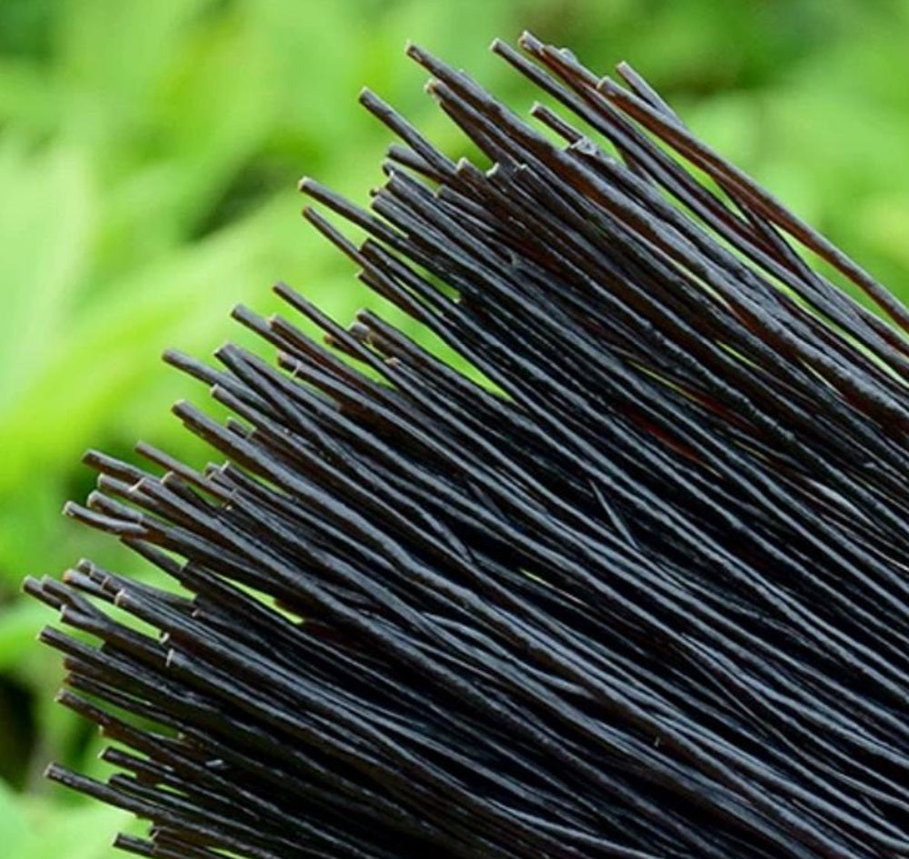 Macarrão vermicelli de raiz de samambaia 500g