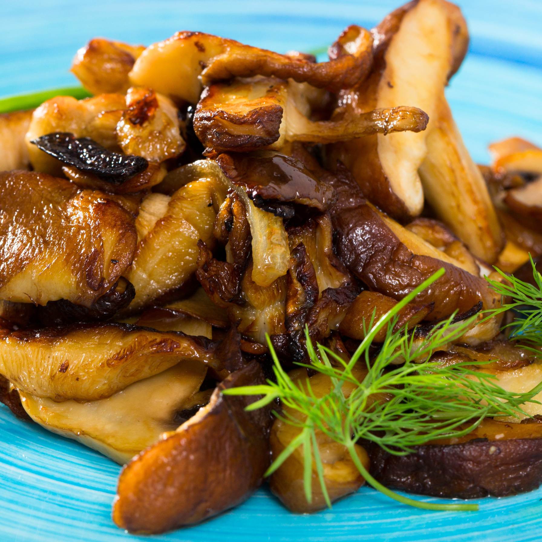 Cogumelo Shiitake fatiado a vácuo 50g