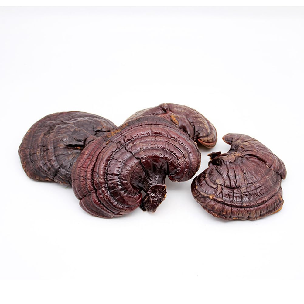 PEDIDO SUDOESTE COGUMELOS