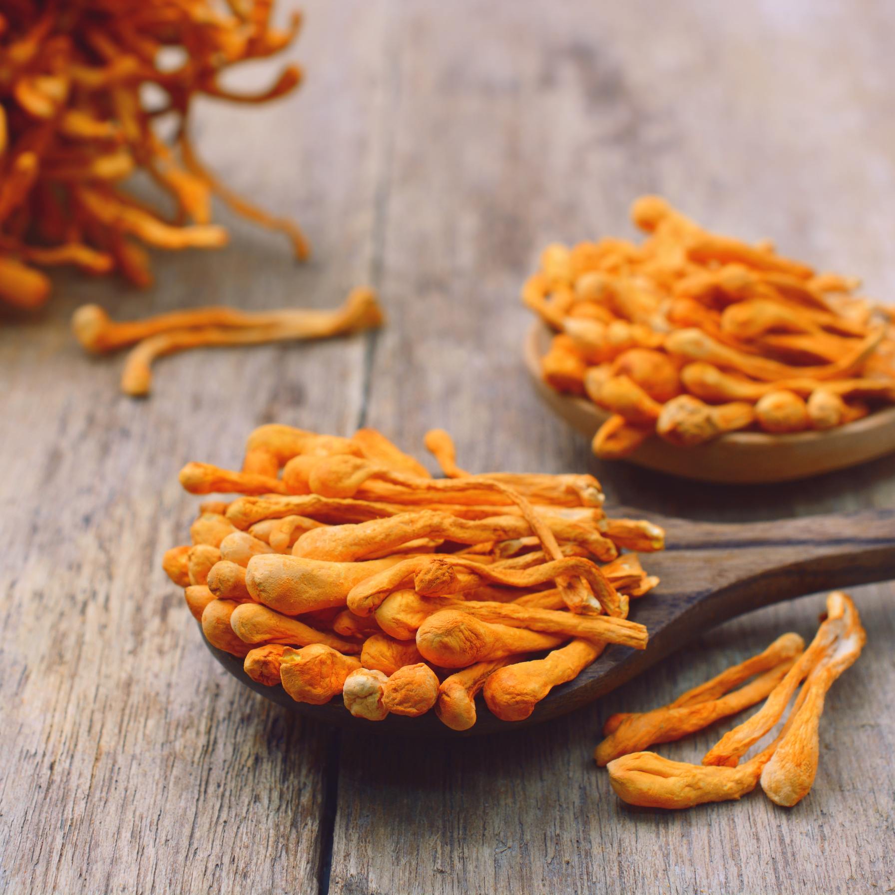Cogumelo Cordyceps desidratado - Zheng Feng Brand 100g